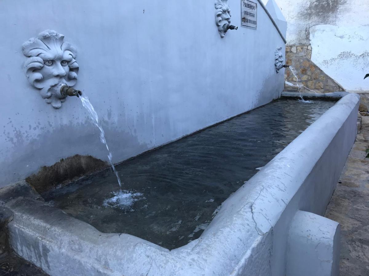 Casa Sol Y Aire - Vakantievilla In Dorp Met Prive Zwembad Pinos del Valle Екстер'єр фото